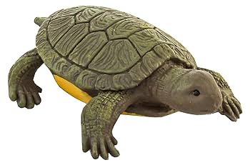 Amazon.co.jp: サファリ ペット チューブ : おもちゃ
